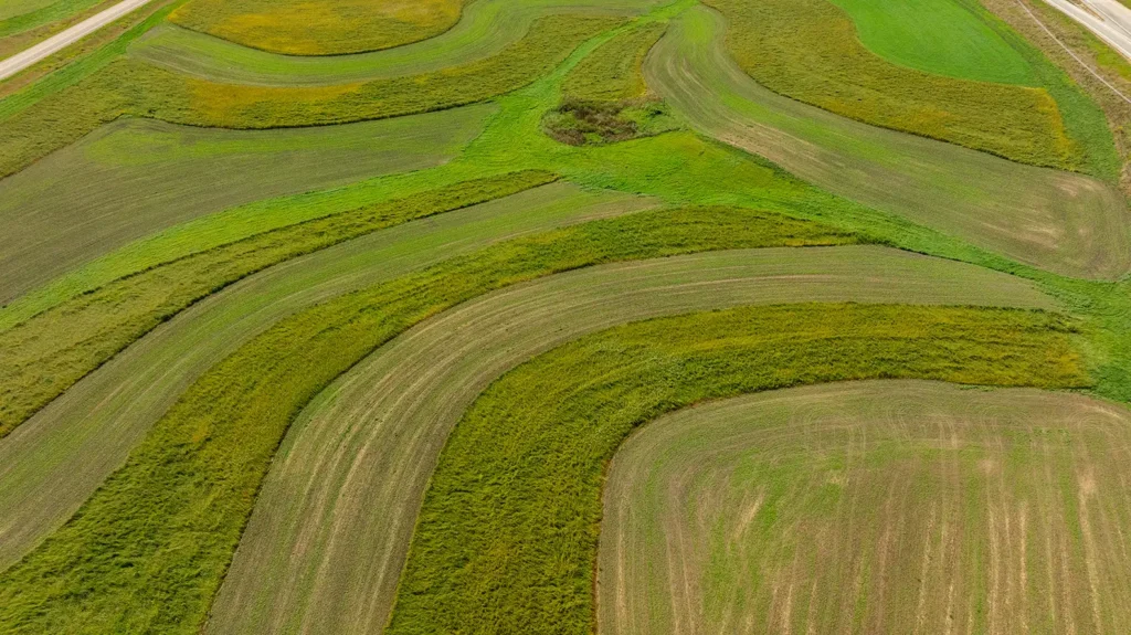 field of crops from vantage point of drone